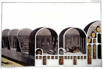 Caracalla-baden i Rom. Gravyr från början av 1800-talet. av Unknown artist