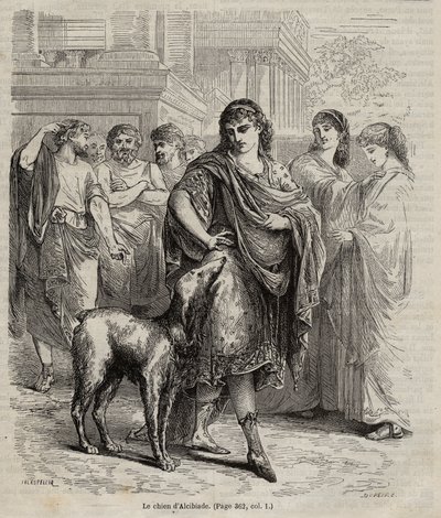 The Dog of Alcibiades - Alcibiades statsman och talare och general atenares hund, gravyr från 1864 450-404 f.Kr. av Unknown artist