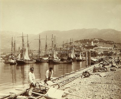 Uppförandet av en pir i Jalta. Albumin foto av Unknown artist