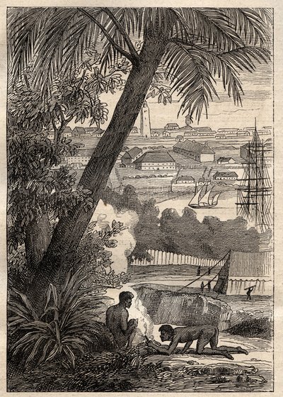 The Expedition to the Southern Lands (1800-1803) av Nicolas Baudin (1754-1803): View of Sydney (Australien) - illustration från "The Great Mariners of the 18th century"" av Unknown artist