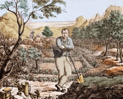Trädgårdsmästaren av St Helena - Napoleon i exil på St Helena, gravyr av Unknown artist