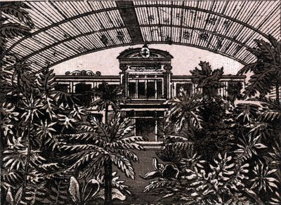 Palmträdgården i Frankfurt, Tyskland (Frankfurt, Tyskland) i "The World Illustrates 168 Views" Odaterad (slutet av 1800-talet) av Unknown artist