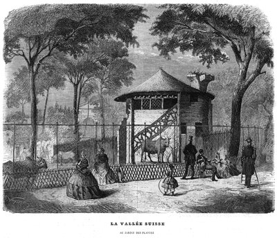 Den schweiziska dalen i växternas trädgård i Paris 1858. av Unknown artist