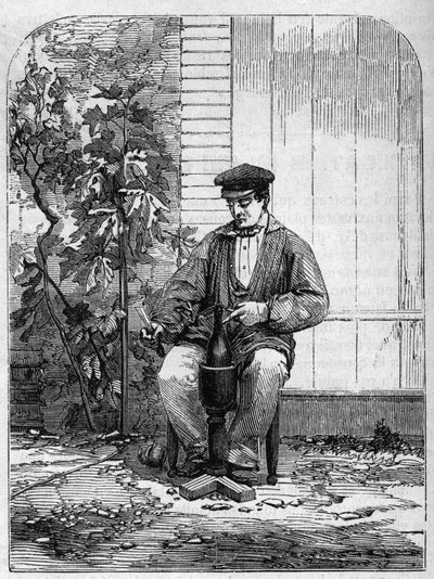 Buteljering av champagnevin. Gravyr från 1864. av Unknown artist