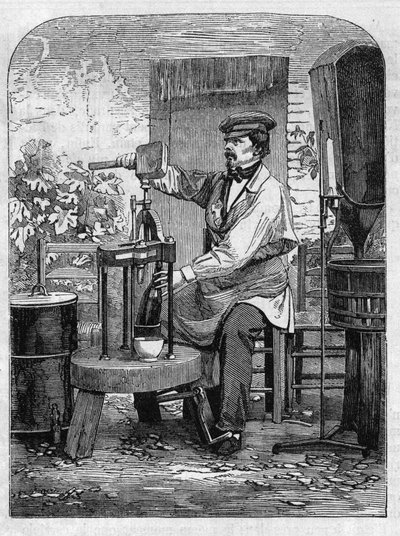 Buteljering av champagnevin. Gravyr från 1864. av Unknown artist