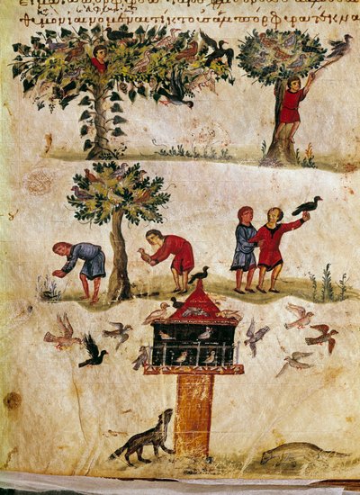 Uppfödning och träning av miniatyrfalkar från jakten ""The Cynegetics"" av Oppian (Oppian eller Oppianus) i Syrien (3:e århundradet e.Kr.) tillägnad Caracalla. 1000-talets Venedig. Biblioteca Marciana av Unknown artist