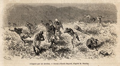 Karavanen av bärare av Henry Morton Stanleys expedition (1841-1904) på Misonghi-vägen (Östafrika) attackerades av ett moln av bin. Gravyr för att illustrera resan på jakt efter Livingstone, i centrala Afrika, av Henry Stanley, korrespondent för av Unknown artist