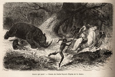 Andelen av noshörningen som välter och fångar jägarna, under sökandet efter författaren och hans guider. Gravyr för att illustrera utforskningen av Nilens abessiniska bifloder, av Sir Samuel W. Baker, 1861-62, publicerad i "" Le tou av Unknown artist