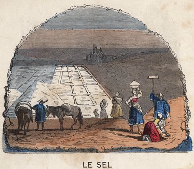 Samlingen av salt. 1800-talsillustration. Bianchetti samling. av Unknown artist