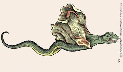 Den flygande draken Amphiptere (Amphithere eller Amphitere eller Amphipthere) Gravyr i djurens historia av Conrad Gesner (1516 - 1565), Tiguri av Unknown artist
