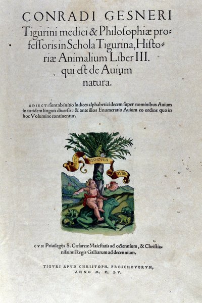 Framsidan av tredje volymen av Historia Animalium av Conrad Gesner (1516 - 1565), Tiguri av Unknown artist