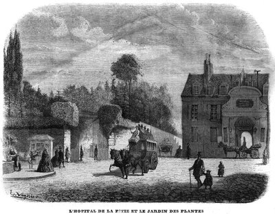 Hospital of ptie salpetriere (PITIE-SALPETRIERE) och växtträdgården i Paris 1858. av Unknown artist