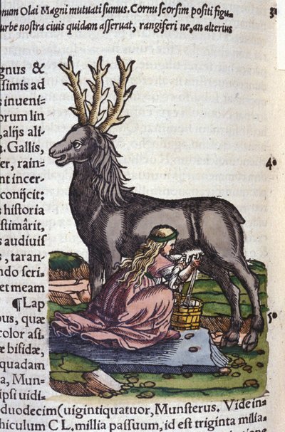 Renhandeln efter Historia animalium av Konrad Gesner, Tiguri av Unknown artist