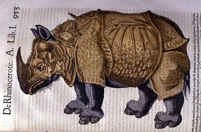 Noshörningen efter "Djurens historia" av Conrad Gesner, Tiguri 1560 av Unknown artist