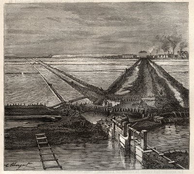 Saltkärret i Giraud i Camargue (Bouches-du-Rhone), vy tagen från servicekanalen - gravering i 