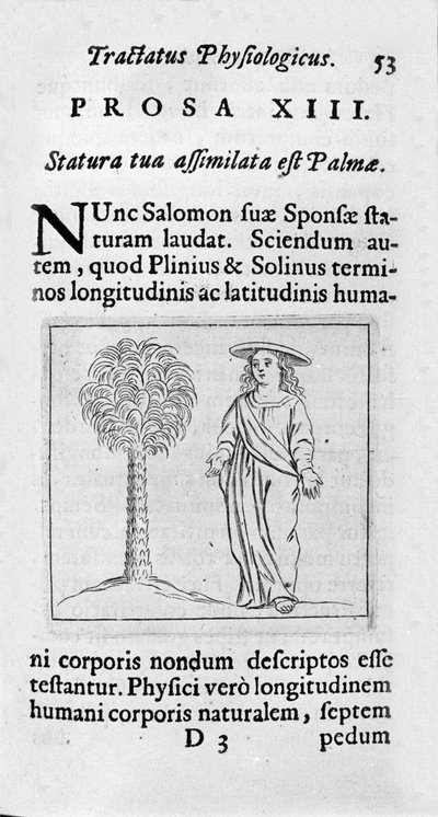 Storleken på kvinnan. Sidan hämtad från "" Tractatus physiologicus de pulchritudine""" handlar om Ernesto Venio (Ernestus Vaenius) som försvarar skapelsens skönhet mot en anonym motståndare. 1612 av Unknown artist