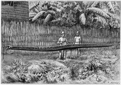 Huden på en Python-orm, 6,60 m lång, fångad på Filippinerna. (Från ett fotografi). Gravyr i "" La Nature: revue des sciences et de leurs applications aux arts et a l