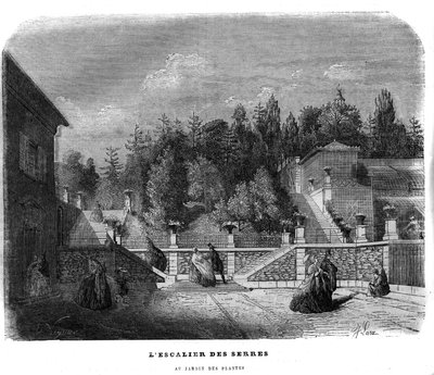 Trappan av växthus i trädgården av växter i Paris 1858. av Unknown artist