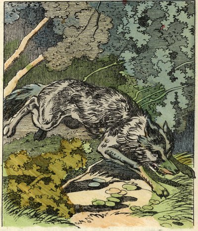 Vargen springer till mormors hus. Illustration av berättelsen "Rödluvan" av Charles Perrault av Unknown artist