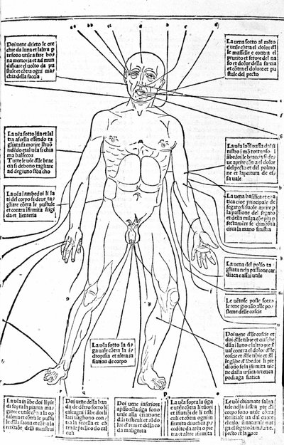 Den här bilden visar platserna på kroppen eller övningsblödning beroende på smärtan. Avhandling om medicin av Gerolamo Cardano (Cardanus Hieronymus), Florens av Unknown artist