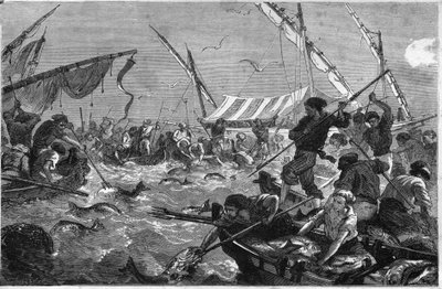 Tonfiskfiske (Pesca al tonno) vid Provences kust. av Unknown artist