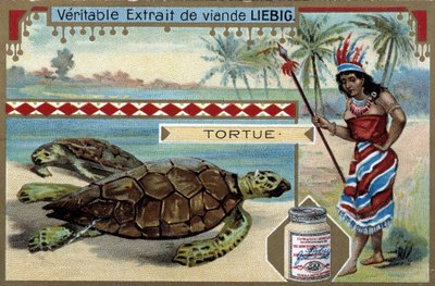 Sköldpadda, med en kvinna klädd som en infödd i Sydamerika, utrustad med ett jaktspjut - Liebig-kromolitografi av Unknown artist