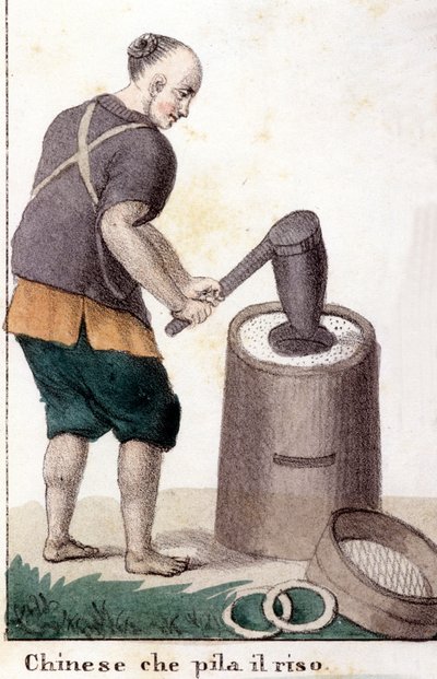 Un chinese qui pille le riz - i Den universella dräkten för alla världens folk av Unknown artist