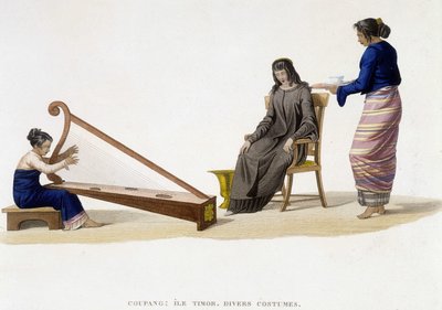 Olika kostymer av kvinnor från Timor Island (Coupang). av Unknown artist