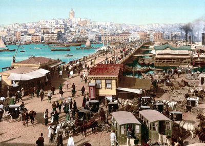 Utsikt över Konstantinopel. Photochrome v. 1890. av Unknown artist