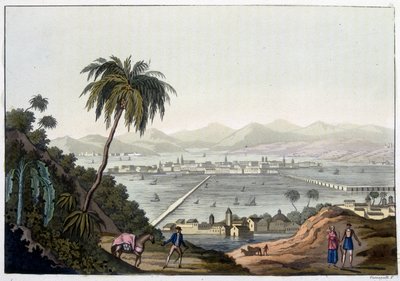 Utsikt över Mexico City, Mexiko. I "" Le costume ancien et moderne"" av Unknown artist