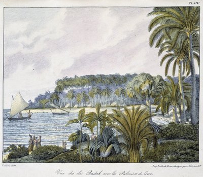 Utsikt över Radaköarna i Marshallöarnas skärgård. av Unknown artist