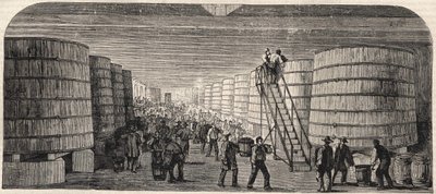 Utsikt över källaren på Chateau - Lafitte 1860 av Unknown artist