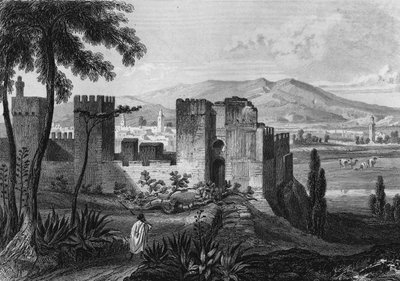 Utsikt över inhägnaden av Tlemsen (eller Tilimsen) i Algeriet på 1800-talet, i "" Algerie ancienne et moderne"" av Leon Galibert av Unknown artist