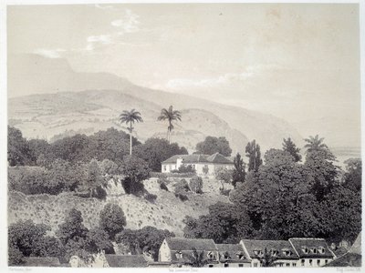 Vy över husen tagna från Boulevard de la Comedie i Saint Pierre på Martinique på Antillerna. Tryck efter fotografi från slutet av 1800-talet Chartres musee des Beaux Arts av Unknown artist