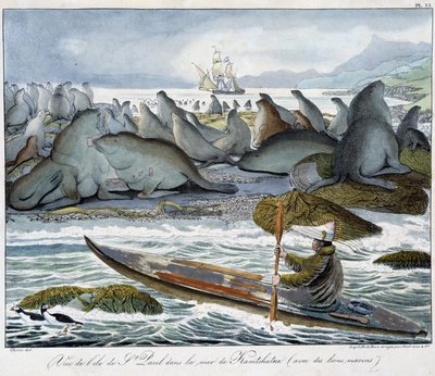 Utsikt över ön St. Paul i havet av Kamchatka med sjölejon. av Unknown artist