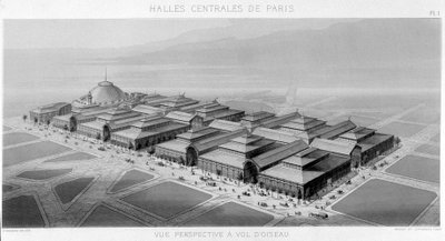 Utsikt över himlen i de centrala hallarna i Paris (Balard-paviljonger) - Monografi av de centrala hallarna i Paris, av V. Balard av Unknown artist