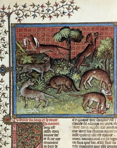 Vi motto vargen och hela dess natur. Miniatyr från Gaston Phoebus (1331-1391) av Gaston III Comte De Foix av Unknown artist