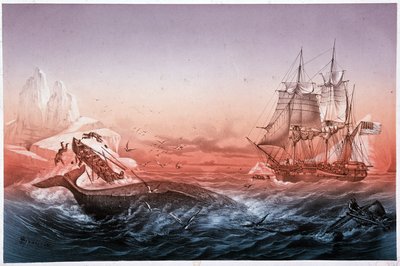 Valfångstfartyget misslyckades med att rädda sina valkapsejsade båtar av Unknown artist