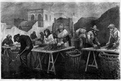 Arbetare i Frankrike: Kokssorterare (variant av kol från destillation av kol, som används vid uppvärmning) i en gasfabrik i Paris Gravering i "Le Monde Illustré"" av Unknown artist