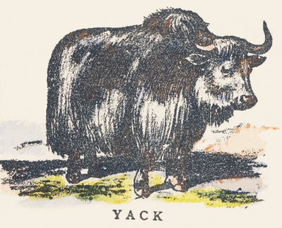 Y: jak av Unknown artist