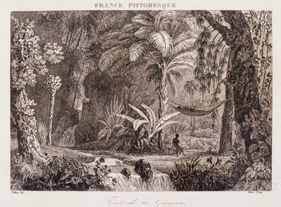 gravyr som visar den franska kolonin Guyana i Sydamerika 1850 av Unknown artist