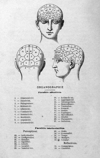 illustration från Charles Rouvins bok från 1873 Organographie La Tête humaine, illustrerade studier av frenologi och fysionomi tillämpade på kända karaktärer Paris 1873 av Unknown artist