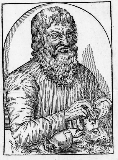 porträtt av Hippokrates (460- omkring 377 f.Kr.), grekisk läkare. av Unknown artist