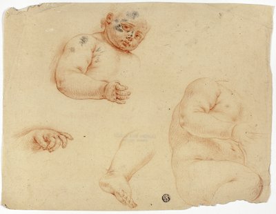 Skisser av ett barn:  Halvlängd, Torso, Fot, Hand av Unknown Lombard