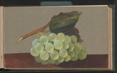 En massa vindruvor av Unknown artist
