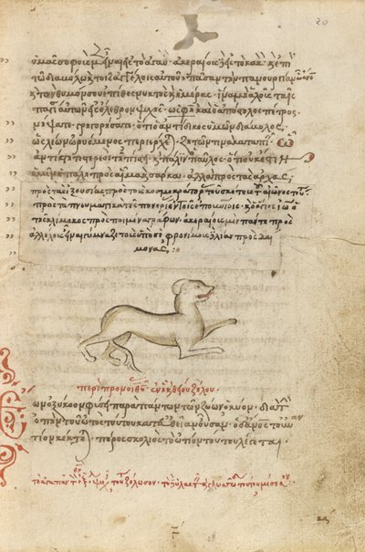 En hund av Unknown artist