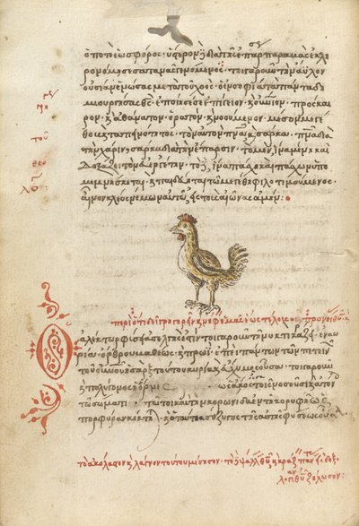 A Hen av Unknown artist