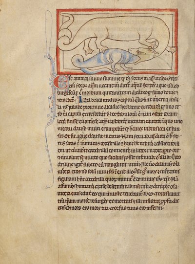 A Hydrus av Unknown artist