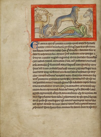En Panther av Unknown artist