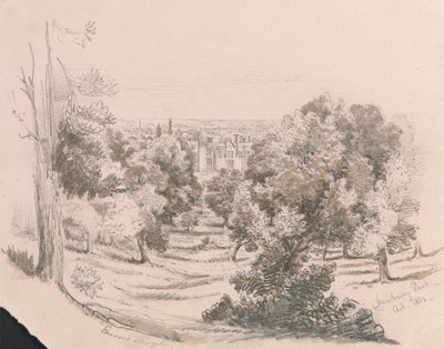 Utsikt över Danbury Park av Unknown artist